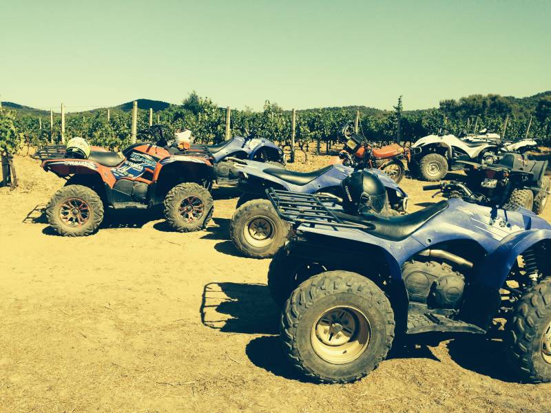 RANDONNÉE QUAD EN PROVENCE AVEC VISITE DE VIGNOBLE ET DEGUSTATION DE VINS AVEC PASSAGER