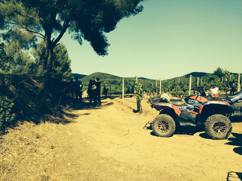 RANDONNÉE QUAD DANS VOTRE DOMAINE VITICOLE EN PROVENCE POUR VOS CLIENTS