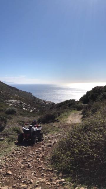 chemin garrigue provençale 