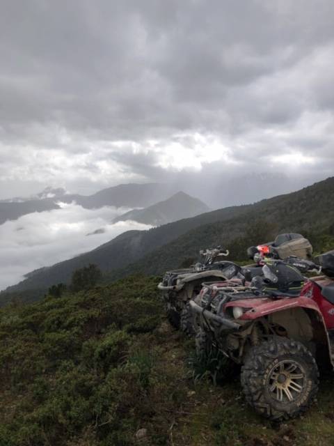 rando quad sur 700 grizzly