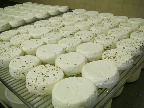 Randonnée Quad au pied de la Sainte Baume avec visite de bergerie